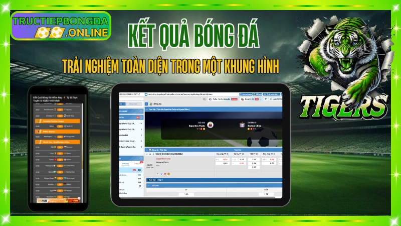 Tructiepbongda.online – Không chỉ là kết quả bóng đá mà còn hệ sinh thái toàn diện