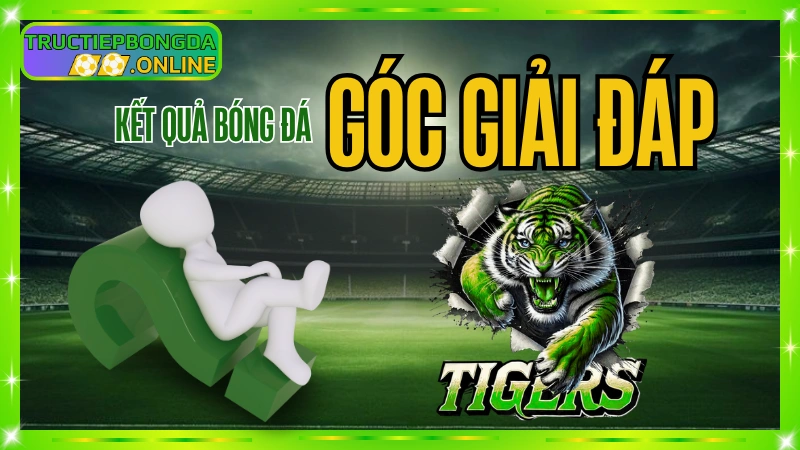 FAQ – Câu hỏi thường gặp về bóng đá và cách xem trực tiếp, kết quả, BXH