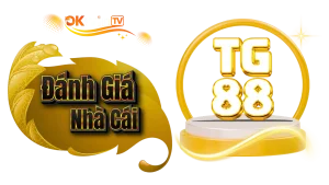 Đánh Giá TG88 – Nhà Cái TG88 2025 ✅ Link Chính Thức Không Bị Chặn